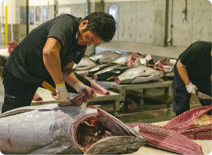 画像:マグロを捌く様子