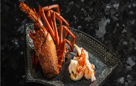 画像:鉄板割烹「山吹」の提供メニュー