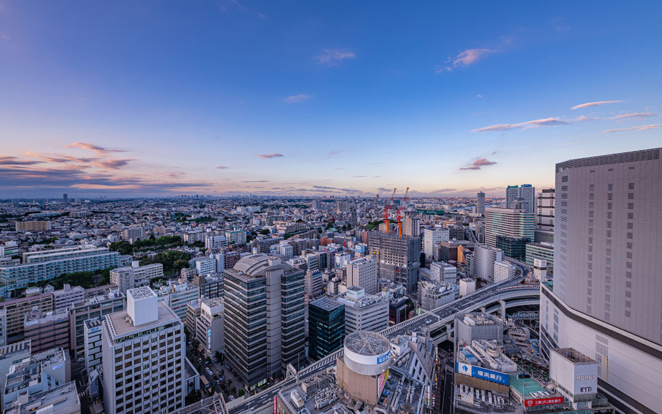 写真：横浜景色